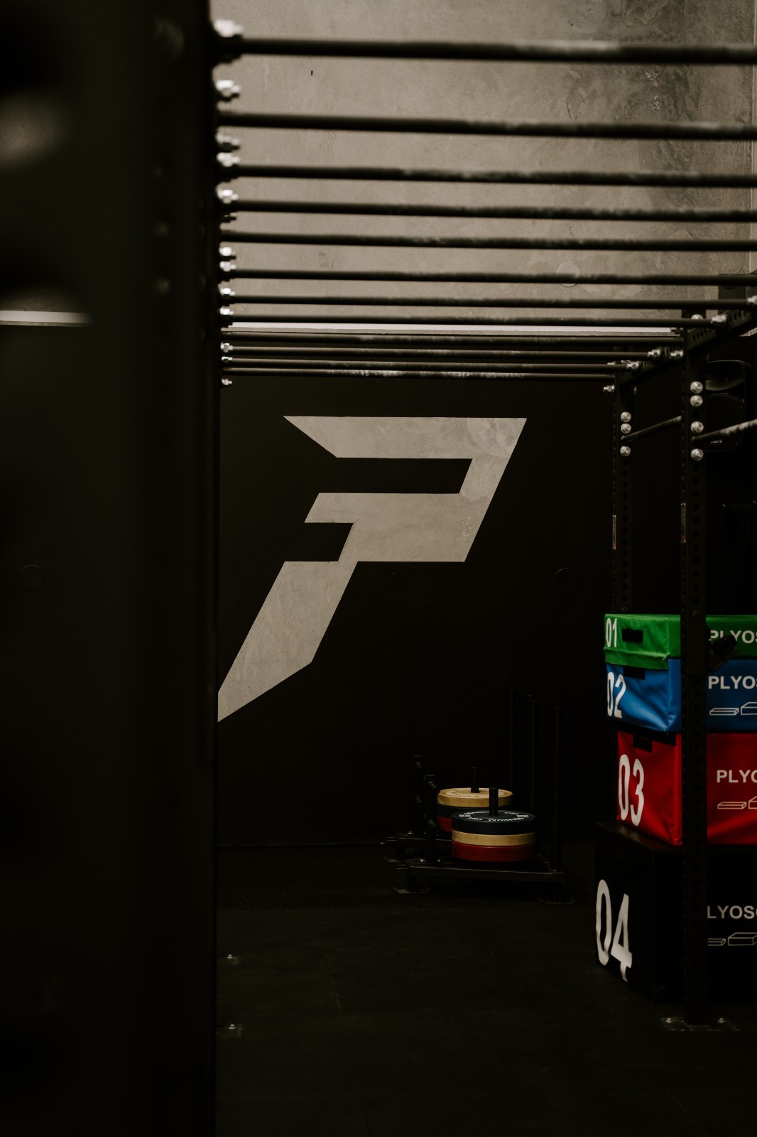 Training at Fitpit